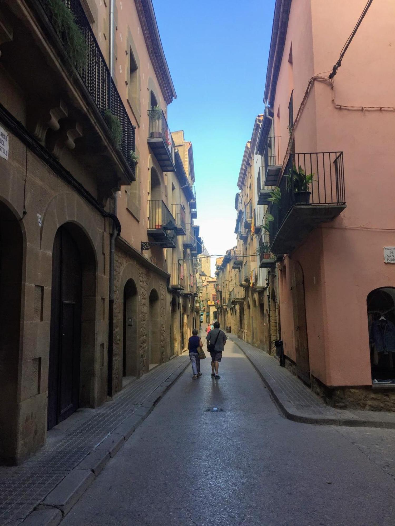 Hotel La Freixera Solsona Exterior foto